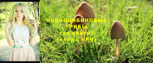 ALPHA-PVP Арсеньев