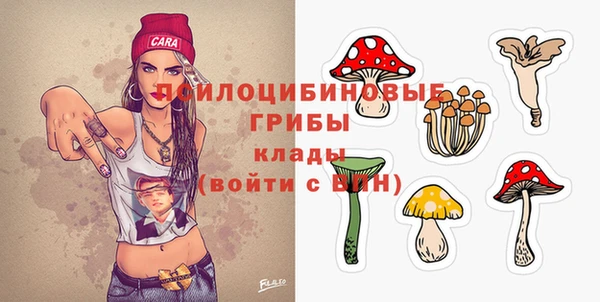 прущая мука Аркадак