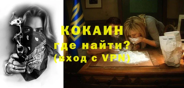 шишки Армянск